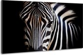 Schilderij -Zebra close up, magisch, 100x70cm, wanddecoratie