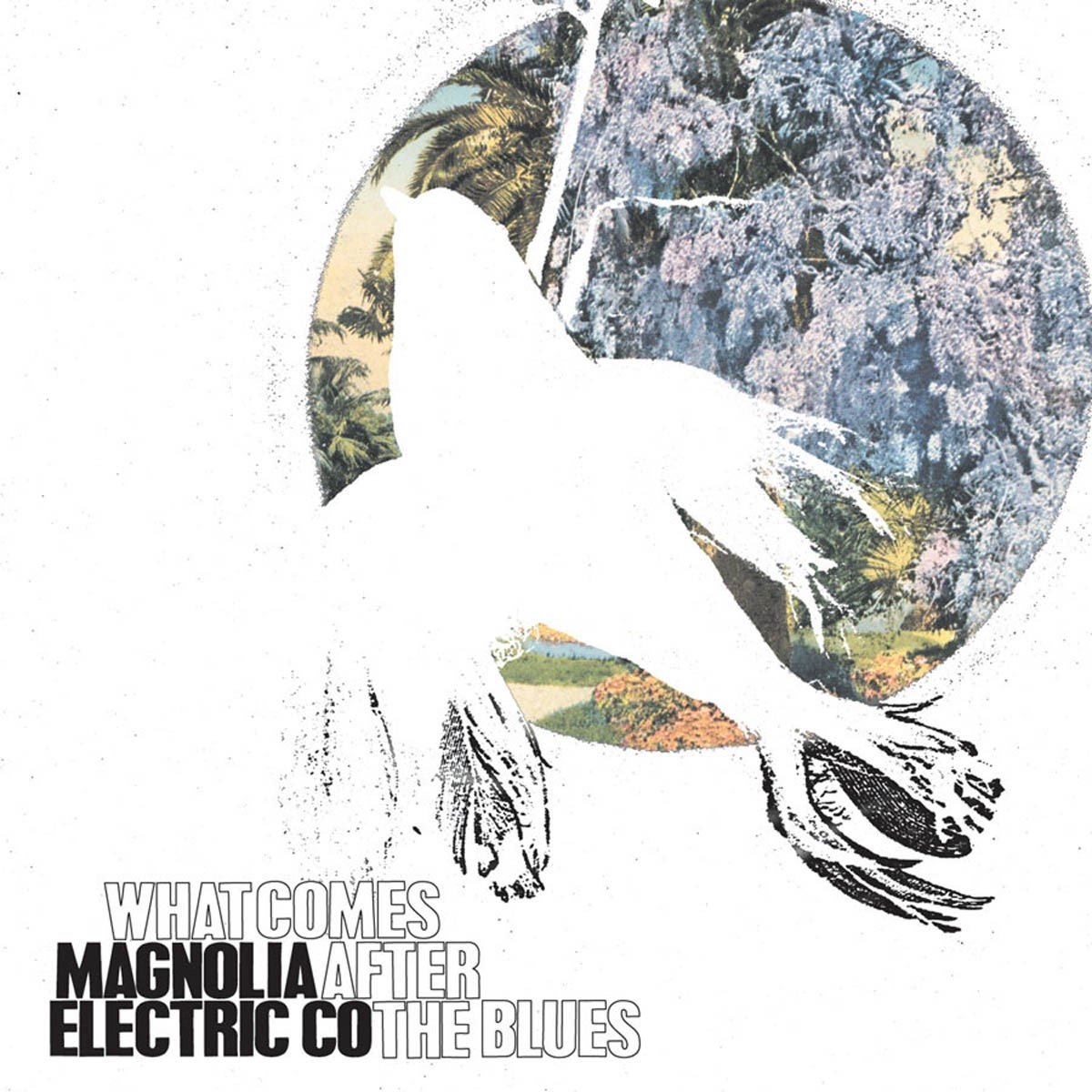 Magnolia Electric Co. - What Comes After The Blues (CD)