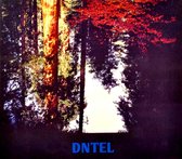 Dntel - Aimlessness (CD)