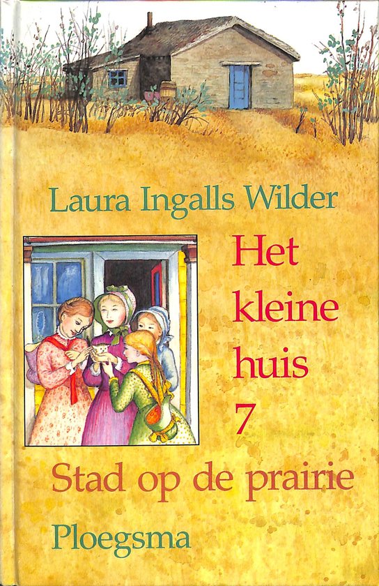 Kleine Huis 07 Stad Op De Prairie