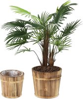 Relaxdays Bloempot hout - set van 2 - plantenpot - rond - 2 groottes - sierpot - natuur