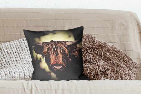 Highlander écossais - Lumière - Portrait