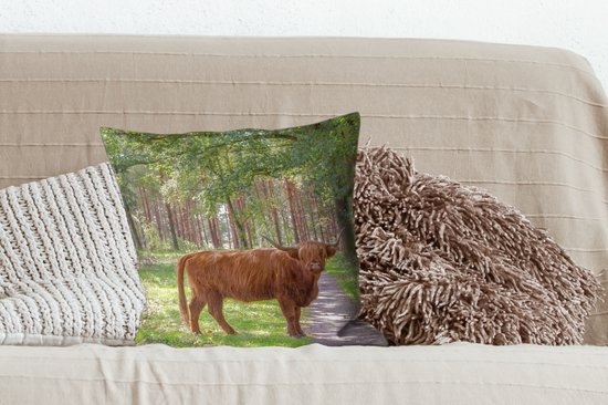 Sierkussen - Crapaud Highlander écossais - Multicolore - 45 Cm X 45 Cm