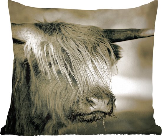 Coussins décoratifs - Oreillers Salon - 60x60 cm - Highlander écossais - Animaux - Cheveux