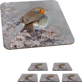 Onderzetters voor glazen - Vogel - Roodborstje - Dieren - Onderzetters dieren - 10x10 cm - 6 stuks