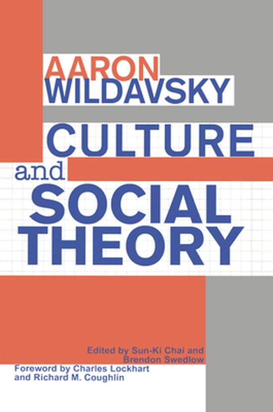 Culture and Social Theory - cover