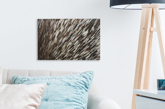 Tableau sur toile Épines en gros plan - 30x20 cm - Décoration murale