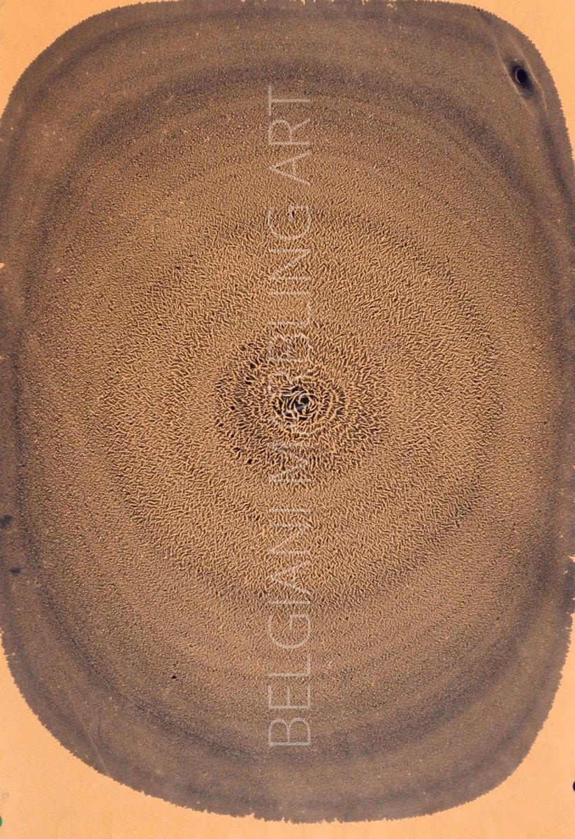 Originele handgemaakte Turkse kunst Ebru, Turkse papier marmering, 35x50cm decoratief papier voor boekbinden, kunst aan de muur, woondecoratie
