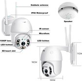 Omnivision® Beveiligingscamera  – Bewakingscamera – Wifi camera – Bewegingssensor – Met microfoon functie - 32GB SD kaart bijgeleverd