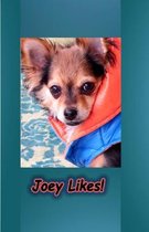 Joey Likes