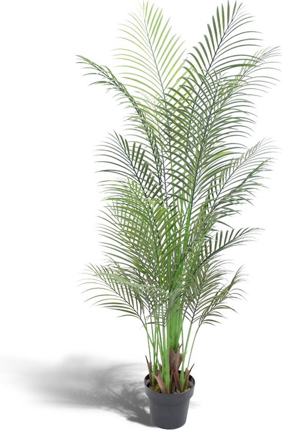 Plante artificielle – pour l'intérieur et l'extérieur – en pot – palmier  artificiel –... | bol.com