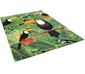 Pergamon Vloerkleed Designer Faro Tropical Toucan