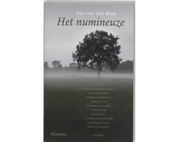 Het numineuze