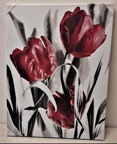 canvas schilderij 3 rode bloemen 62x47 cm