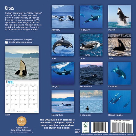 Orca Kalender 2025 