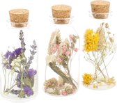 Plant in a Box - Set van 3 droogbloemen in glazen flesjes - droogboeket