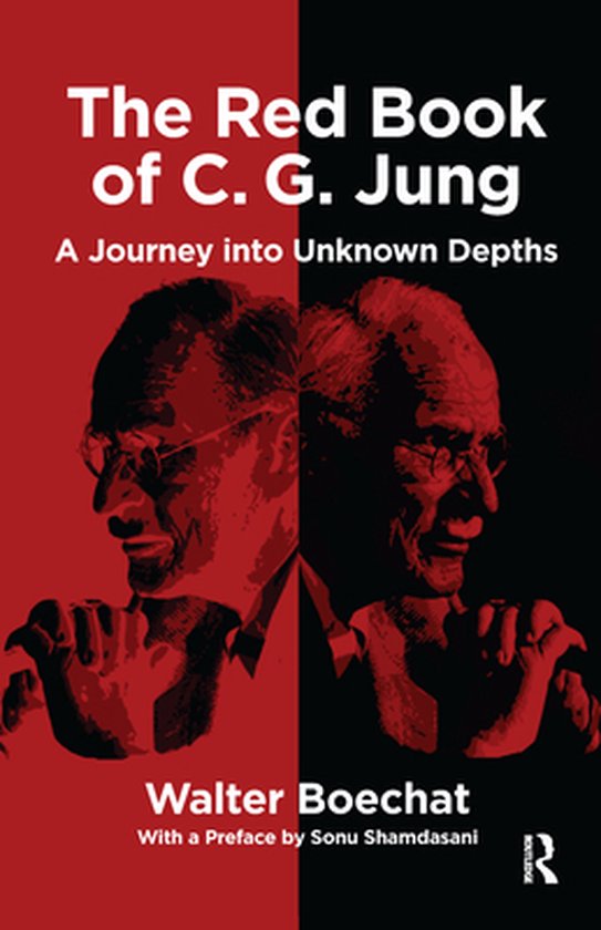 The Red Book of C.G. Jung - cover