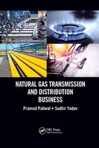 Natural Gas Transmission and Distribution Business