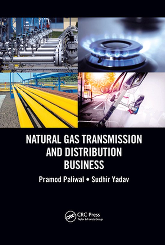 Natural Gas Transmission and Distribution Business - cover