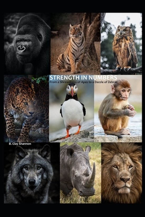 Strength in Numbers - cover