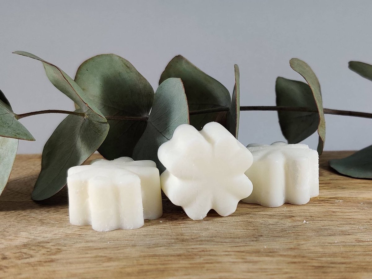 Pure Fragrance - Wax melts - Eucalyptus