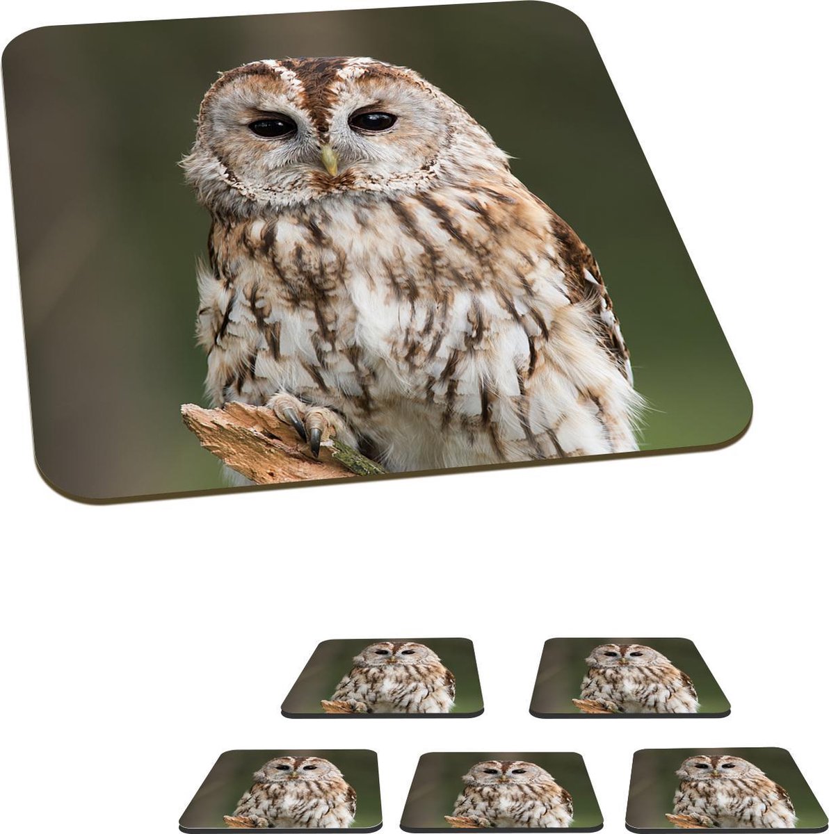 Onderzetters voor glazen - Uil - Tak - Vogel - 10x10 cm - Glasonderzetters - 6 stuks