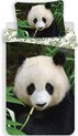 Animal Pictures Panda - Dekbedovertrek - Eenpersoons - 140 x 200 cm - Multi - Copy
