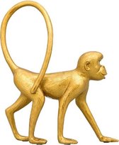 Aap krulstaart goud