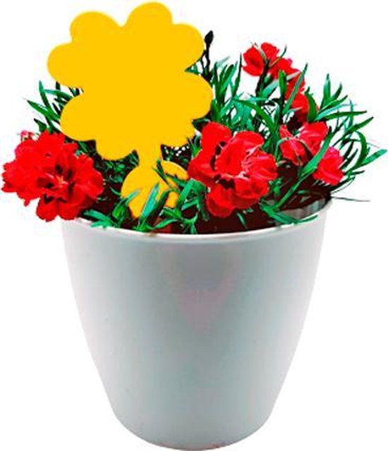 Plak klavertjes tegen rouwvliegjes 48 stuks - Rouwvliegjes bestrijden - Varenrouwmug - Plakstrips - Vangkaarten - Vangplaten - Insectenval - Insectenvanger