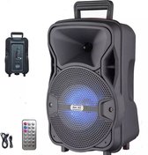 Blaupunkt BLP3937 - Bluetooth Party Speaker met Multicolor LED verlichting en Trolleyfunctie - Zwart