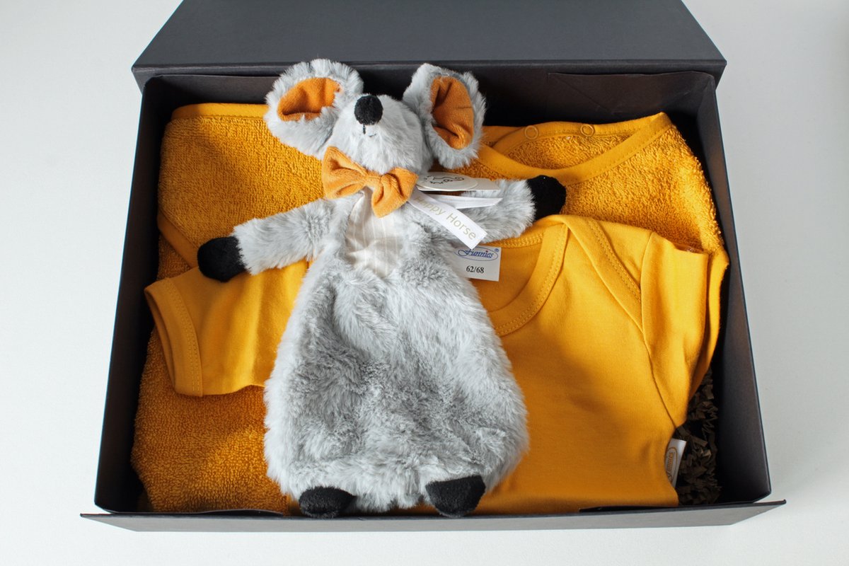 Goedkoopste Giftbox Mouse Misty - cadeau baby - kraamcadeau - cadeau babyshower