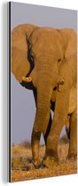 Wanddecoratie Metaal - Aluminium Schilderij Industrieel - Afrikaanse olifant in het zand - 40x80 cm - Dibond - Foto op aluminium - Industriële muurdecoratie - Voor de woonkamer/slaapkamer
