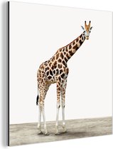Wanddecoratie Metaal - Aluminium Schilderij Industrieel - Giraffe - Dieren - Witte achtergrond - Kinderen - Jongen - Meisje - 20x20 cm - Dibond - Foto op aluminium - Industriële muurdecoratie - Voor de woonkamer/slaapkamer