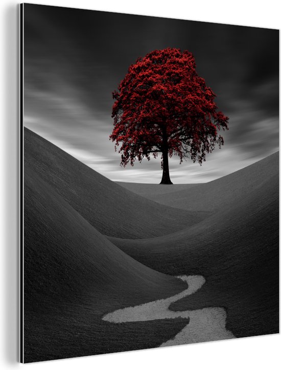 Wanddecoratie Metaal - Aluminium Schilderij - Zwart-wit foto met een rode boom