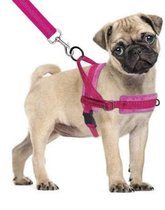 Hondentuigje - voor kleine honden - roze - maat XS - incl. schokabsorberende hondenriem - veilig en makkelijk voor baas en hond