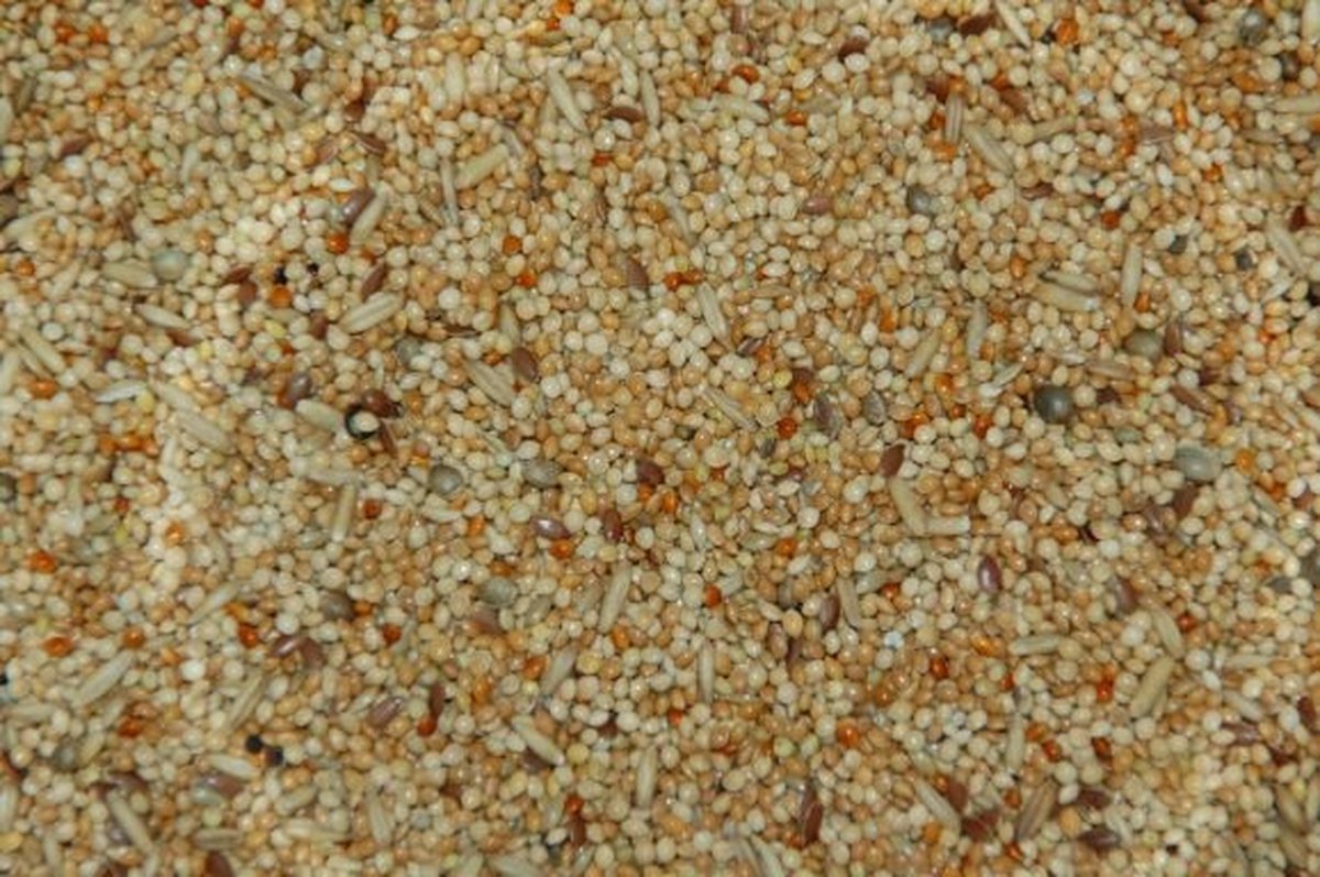 Wielink Parkietenzaad Zonder Cardy 20KG