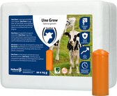 Excellent - Uno Grow -  Groeibolus voor jongvee - mineralenbolus - Aanvullend dierenvoer voor Jongvee - 20 stuks