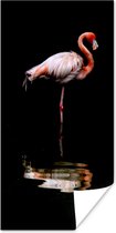 Poster Twee flamingo's staan in het water - 80x160 cm