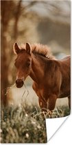 Poster Paard - Licht - Weide - 60x120 cm