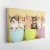 Onlinecanvas - Schilderij - Zes Schattige Kittens Zitten In Pastelkleurige Containers Art Horizontaal Horizontal - Multicolor - 115 X 75 Cm