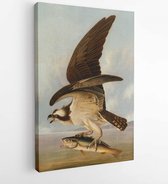 Visarend en Weakfish, door John James Audubon, 1829, Amerikaanse schilderkunst, olieverf op doek. Dit was het artwork voor de handgekleurde gravure in 'Birds of America', 1827-38 - Modern Art