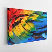Kleurrijk van Scarlet macaw bird's veren met rode geeloranje en blauwe tinten, exotische natuur achtergrond en textuur - Modern Art Canvas - Horizontaal - 333083636 - 115*75 Horizo