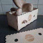 Growkit Deluxe large voor oesterzwammen op je eigen koffiedik (duurzaam cadeau)