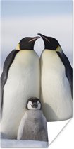 Poster Pinguïn - Gezin - Sneeuw - 80x160 cm