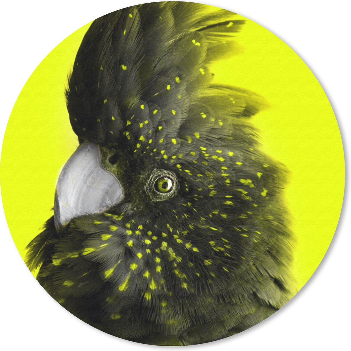 Muismat rond 30x30 cm - Mousepad Kaketoe - Geel - Zwart - Ronde muismatten