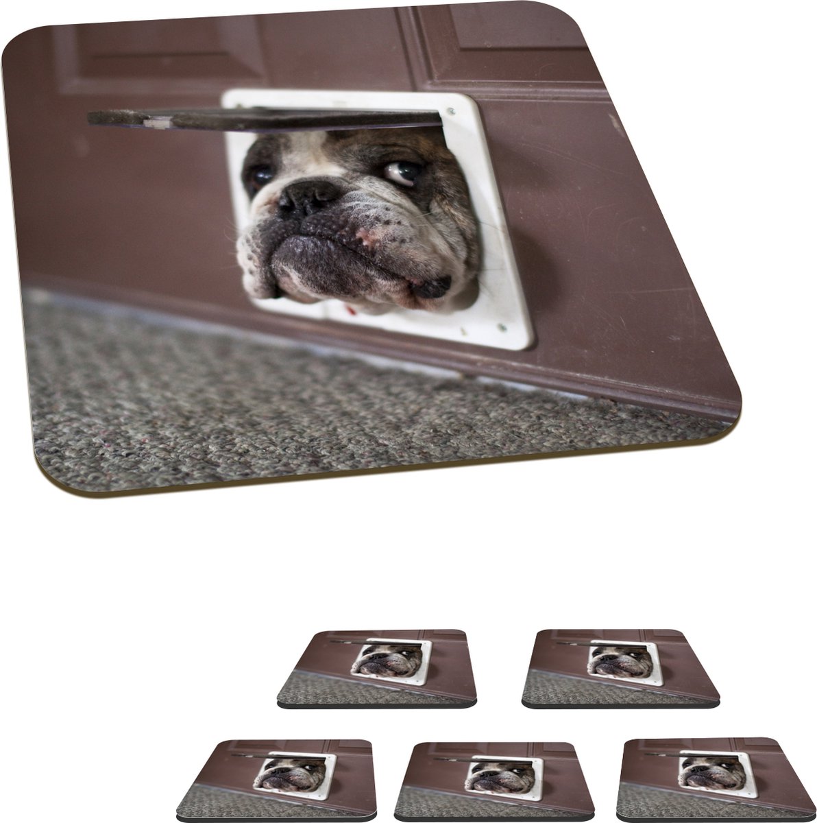 Onderzetters voor glazen - Hond - Grappig - Kattenluik - Kinderen - Jongens - Meisjes - Kids - 10x10 cm - Glasonderzetters - 6 stuks