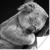 Poster Koala - Slapen - Zwart - Kids - Jongens - Meiden - 30x30 cm