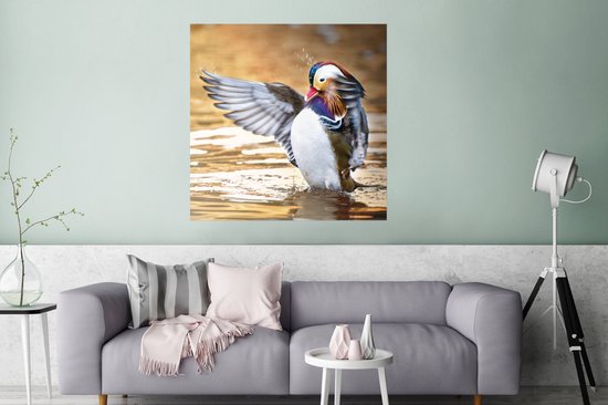 Affiche Canard - Animal - Water - Automne - 75x75 cm