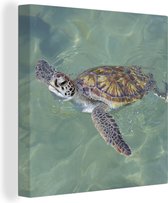 Canvas Schilderij Schildpad zwemt in het water - 90x90 cm - Wanddecoratie
