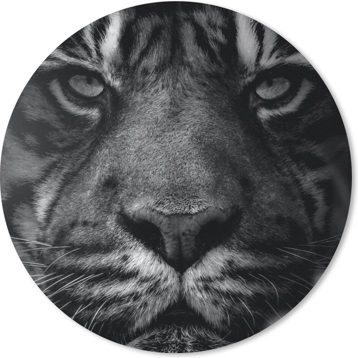 Muismat rond 20x20 cm - Mousepad Jungle - Tijger - Wilde dieren - Zwart - Wit - Ronde muismatten